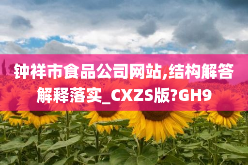 钟祥市食品公司网站,结构解答解释落实_CXZS版?GH9