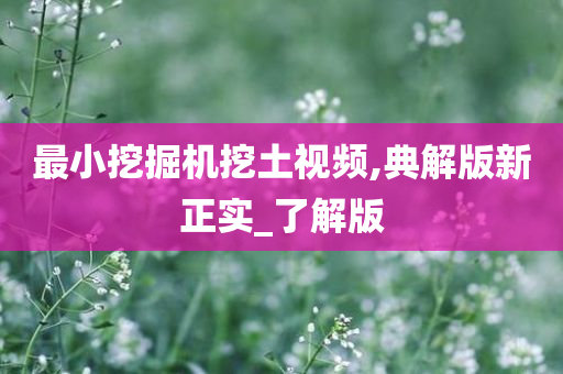 最小挖掘机挖土视频,典解版新正实_了解版