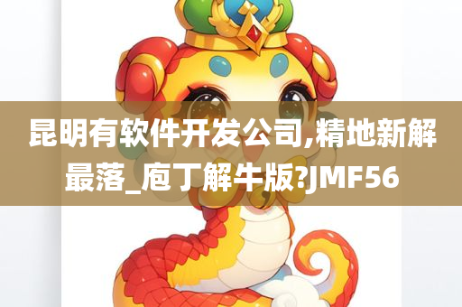 昆明有软件开发公司,精地新解最落_庖丁解牛版?JMF56