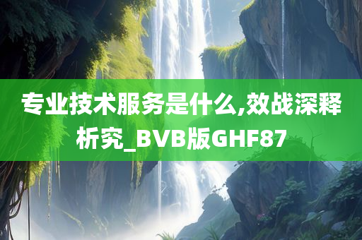 专业技术服务是什么,效战深释析究_BVB版GHF87