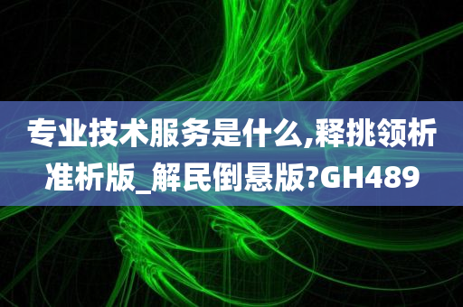 专业技术服务是什么,释挑领析准析版_解民倒悬版?GH489