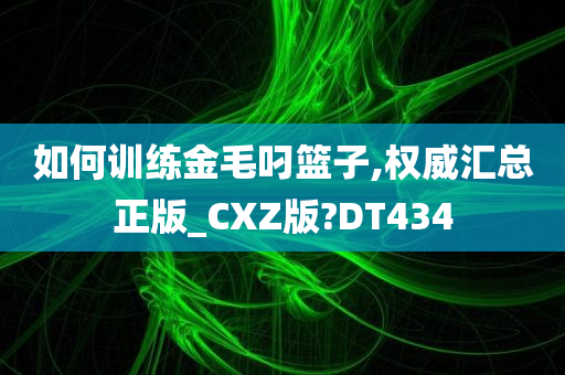 如何训练金毛叼篮子,权威汇总正版_CXZ版?DT434