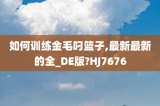 如何训练金毛叼篮子,最新最新的全_DE版?HJ7676