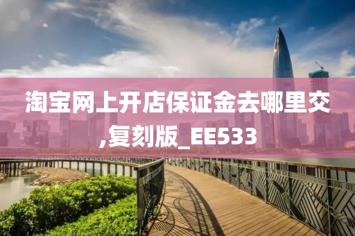 淘宝网上开店保证金去哪里交,复刻版_EE533