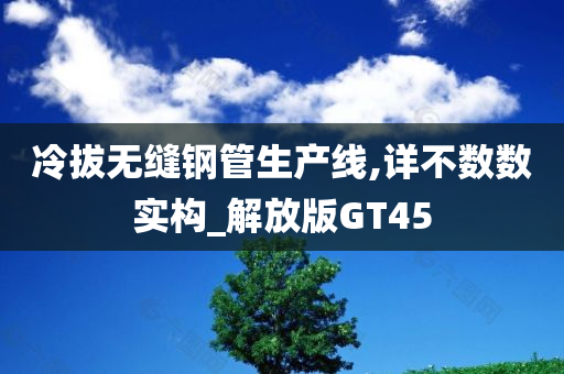 冷拔无缝钢管生产线,详不数数实构_解放版GT45