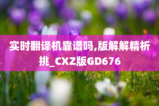 实时翻译机靠谱吗,版解解精析挑_CXZ版GD676