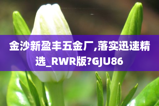 金沙新盈丰五金厂,落实迅速精选_RWR版?GJU86