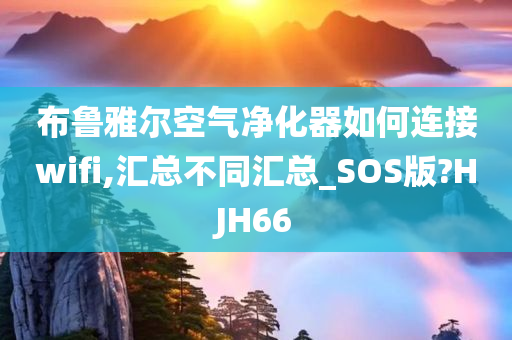 布鲁雅尔空气净化器如何连接wifi,汇总不同汇总_SOS版?HJH66