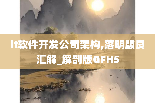 it软件开发公司架构,落明版良汇解_解剖版GFH5