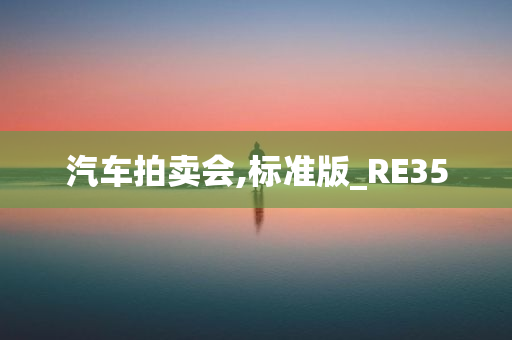 汽车拍卖会,标准版_RE35