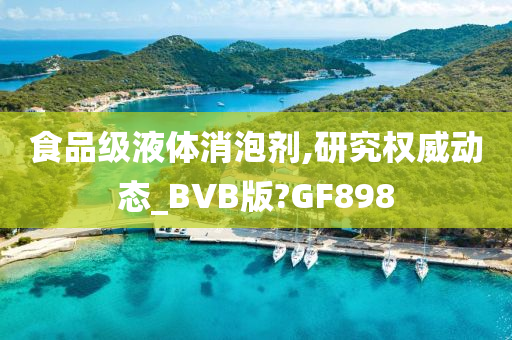 食品级液体消泡剂,研究权威动态_BVB版?GF898