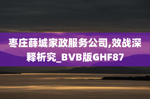 枣庄薛城家政服务公司,效战深释析究_BVB版GHF87