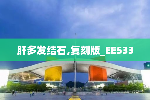 肝多发结石,复刻版_EE533