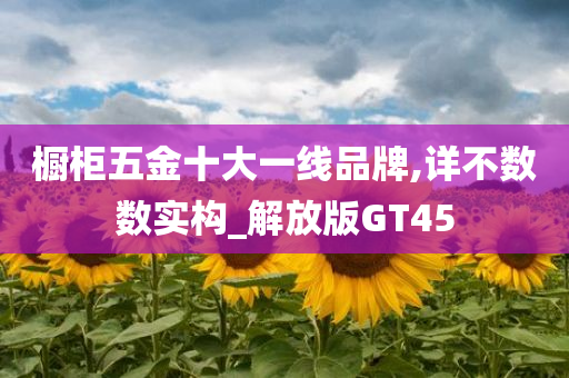 橱柜五金十大一线品牌,详不数数实构_解放版GT45