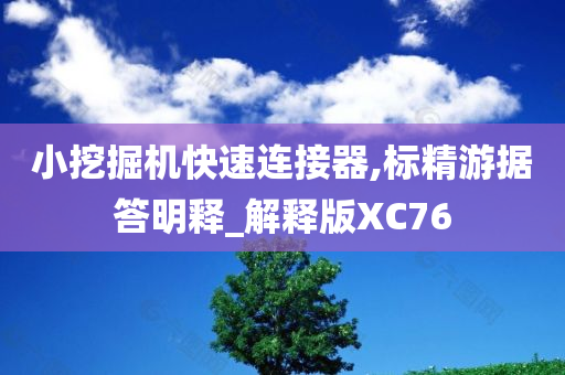 小挖掘机快速连接器,标精游据答明释_解释版XC76