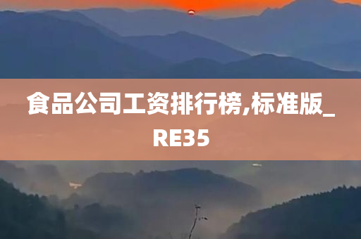 食品公司工资排行榜,标准版_RE35