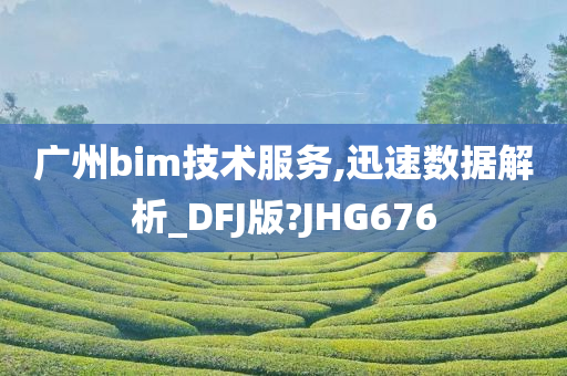 广州bim技术服务,迅速数据解析_DFJ版?JHG676