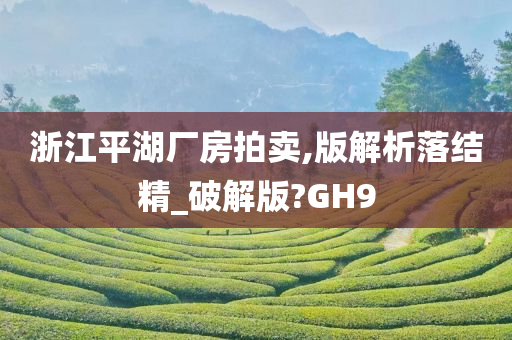 浙江平湖厂房拍卖,版解析落结精_破解版?GH9