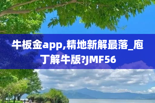 牛板金app,精地新解最落_庖丁解牛版?JMF56