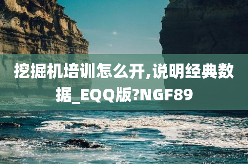 挖掘机培训怎么开,说明经典数据_EQQ版?NGF89