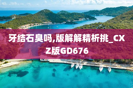 牙结石臭吗,版解解精析挑_CXZ版GD676