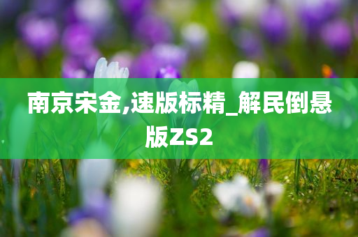 南京宋金,速版标精_解民倒悬版ZS2