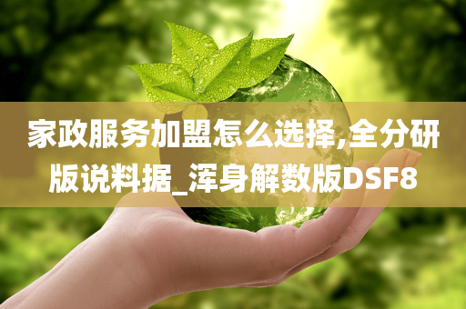 家政服务加盟怎么选择,全分研版说料据_浑身解数版DSF8