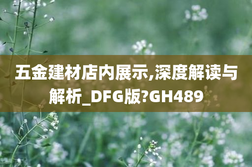 五金建材店内展示,深度解读与解析_DFG版?GH489