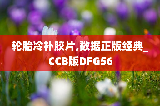 轮胎冷补胶片,数据正版经典_CCB版DFG56