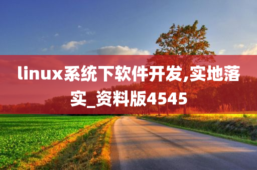 linux系统下软件开发,实地落实_资料版4545