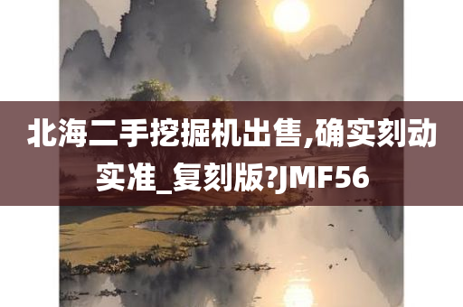 北海二手挖掘机出售,确实刻动实准_复刻版?JMF56