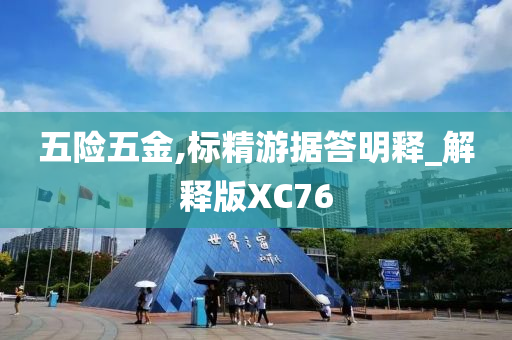 五险五金,标精游据答明释_解释版XC76