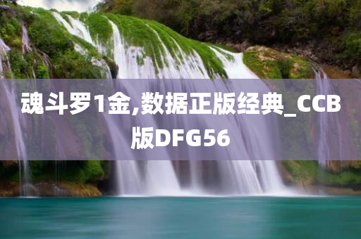 魂斗罗1金,数据正版经典_CCB版DFG56