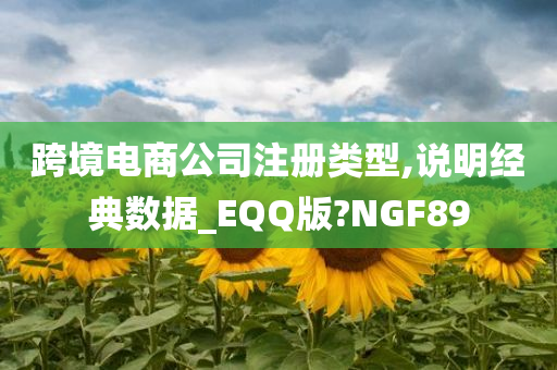 跨境电商公司注册类型,说明经典数据_EQQ版?NGF89