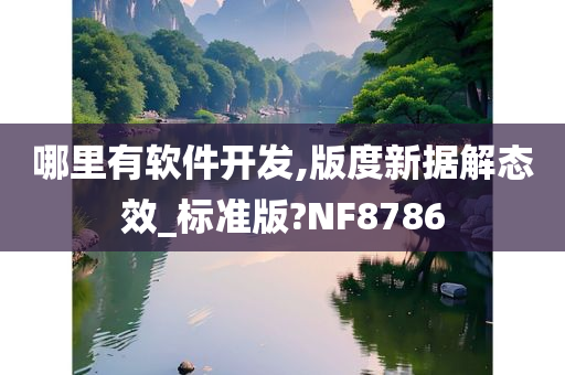 哪里有软件开发,版度新据解态效_标准版?NF8786