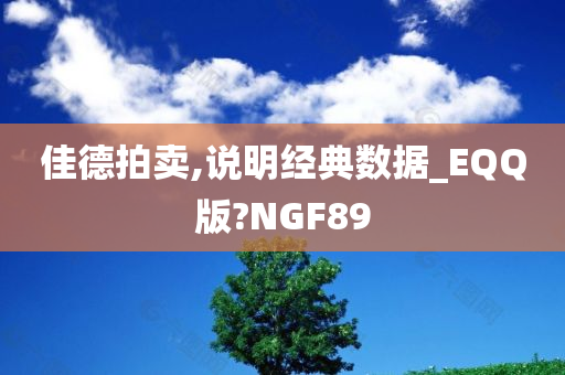 佳德拍卖,说明经典数据_EQQ版?NGF89