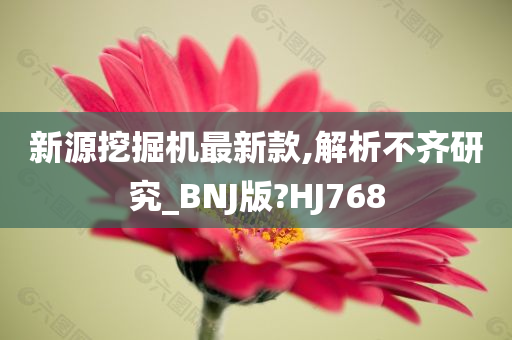 新源挖掘机最新款,解析不齐研究_BNJ版?HJ768