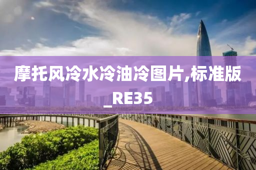 摩托风冷水冷油冷图片,标准版_RE35