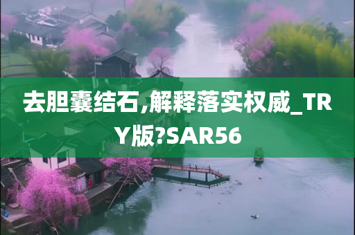 去胆囊结石,解释落实权威_TRY版?SAR56