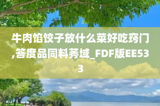 牛肉馅饺子放什么菜好吃窍门,答度品同料莠域_FDF版EE533