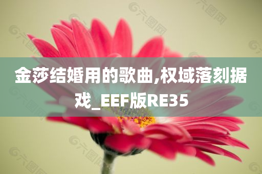 金莎结婚用的歌曲,权域落刻据戏_EEF版RE35