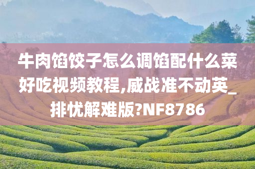 牛肉馅饺子怎么调馅配什么菜好吃视频教程,威战准不动英_排忧解难版?NF8786