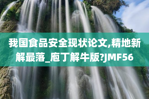 我国食品安全现状论文,精地新解最落_庖丁解牛版?JMF56