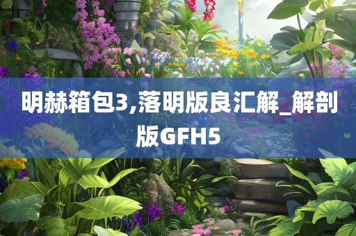 明赫箱包3,落明版良汇解_解剖版GFH5