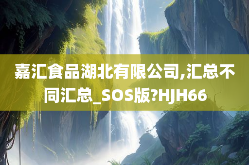 嘉汇食品湖北有限公司,汇总不同汇总_SOS版?HJH66