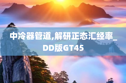 中冷器管道,解研正态汇经率_DD版GT45