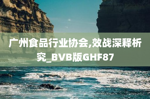 广州食品行业协会,效战深释析究_BVB版GHF87