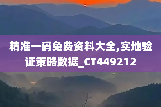 精准一码免费资料大全,实地验证策略数据_CT449212