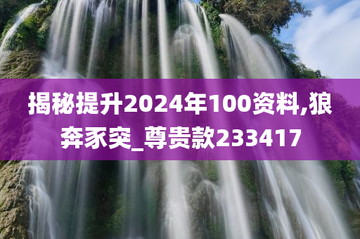 揭秘提升2024年100资料,狼奔豕突_尊贵款233417