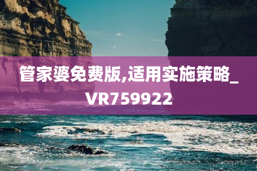 管家婆免费版,适用实施策略_VR759922